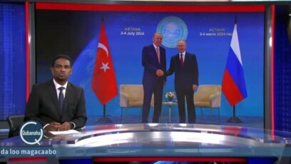 Erdogan oo balaariyey saameynta Turkey