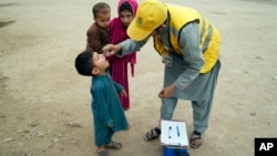 A health worker administers a polio vaccine to a child in a neighborhood of Lahore, Pakistan, Nov. 27, 2023. As the global community marks World Polio Day on October 24, Pakistan faces 40 cases so far this year, compared to six in 2023.