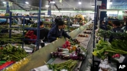 Trabajadores clasifican flores en una finca que exporta a Estados Unidos en Chía, en las afueras de Bogotá, Colombia, el lunes 27 de enero de 2025.