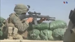 اخبار شامگاهی