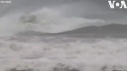 Սերֆերները սլանում են Դորիան ծովամրրկի առաջացրած ալիքների վրայով