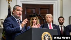 سیناتۆر تێد کروز 