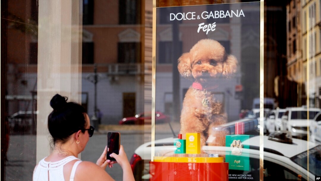 Italy Dog Perfume