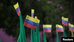 Venezuela flags during a protest of civil organizations in support of Venezuelan President Nicolas Maduro's government, in Mexico City, Mexico, April 19, 2017.