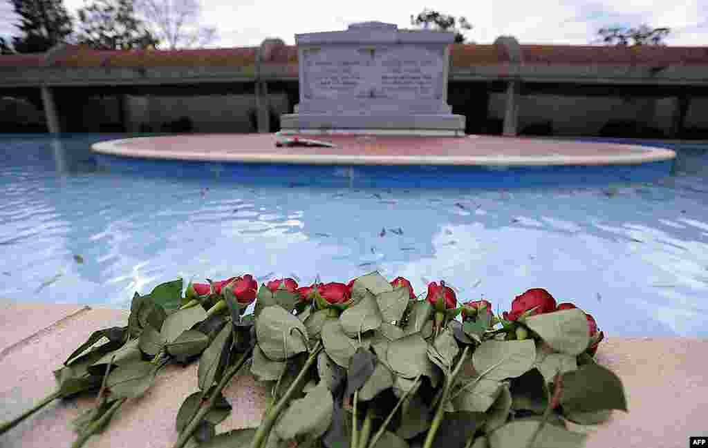 Long-stemmed roses rest on the reflecting pool wall at the crypts of civil rights leader the Rev. Dr. Martin Luther King Jr., and his wife Coretta Scott King. (AP)