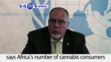 VOA60 Africa - UN: Africa’s number of cannabis consumers is double the world average