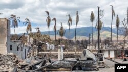 FILE - Burned palm trees and destroyed cars and buildings in the aftermath of a wildfire in Lahaina, western Maui, Hawaii on August 11, 2023.