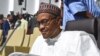 Nigeria's Buhari Faces Flak Over Cabinet Picks