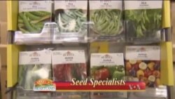 Buenos Días América