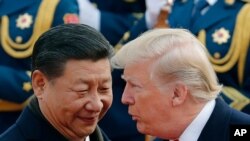 FILE - U.S. President Donald Trump, right, chats with Chinese President Xi Jinping in Beijing, China. 