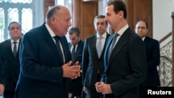 سامح شکری، وزیر امور خارجه مصر، (چپ) در دیدار با بشار اسد.