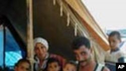 دیندار دۆسکی: دانیمارکیه‌کان گوتویانه‌ چی دی کوردی عێراق وه‌ک په‌نابه‌ر وه‌رناگرن