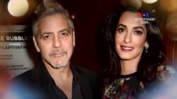 SHORT VIDEO: Քլունիները շուտով ծնողներ կդառնան