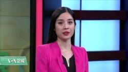 VOA连线： 华盛顿举行阵亡将士日游行