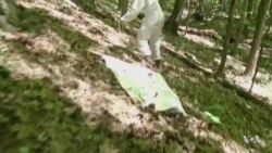 Disease-carrying US Tick Population Exploding After Mild Winter