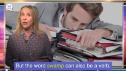 News Words: Swamp