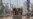 Indian Prime Minister Appeals for Calm After Deadly Riots Wrack New Delhi