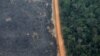 Brazil Amazon Deforestation Soars to 11-year High under Bolsonaro