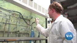 Harmful Bacteria's Worst Nightmare May Be a Microscopic Drill