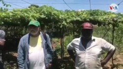 Pwogram aprè-midi a TV Lendi 2 Septanm 2019 la