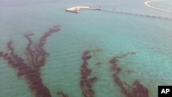 This Aug. 12, 2017 photo released by Kuwait Environment Public Authority, shows an oil spill near Kuwait's southern Ras al-Zour in Persian Gulf waters. 