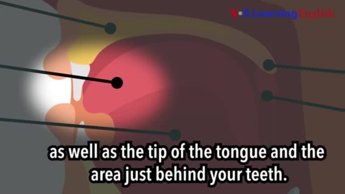 How To Pronounce: Sounds Made With The Tip Of The Tongue