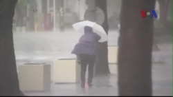 Bão Neoguri tiến vào Nhật Bản