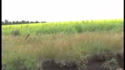 برقراری تدابیر امنیتی شدید در مرزهای اکراین