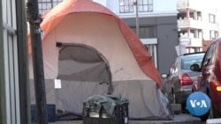 Expert: LA’s 'Tent Cities' Becoming Shantytowns