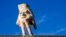After five years of provoking controversy and myriad emotions among residents of New Zealand's capital, Quasi the sculpture, pictured Oct. 30, 2024, will be removed from the roof of City Gallery. 