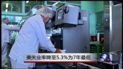 美失业率降至5.3%为7年最低