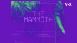 Woolly Mammoth USAGM