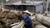 Environmental Group Links Vietnam's Military to Laos Timber Smuggling
