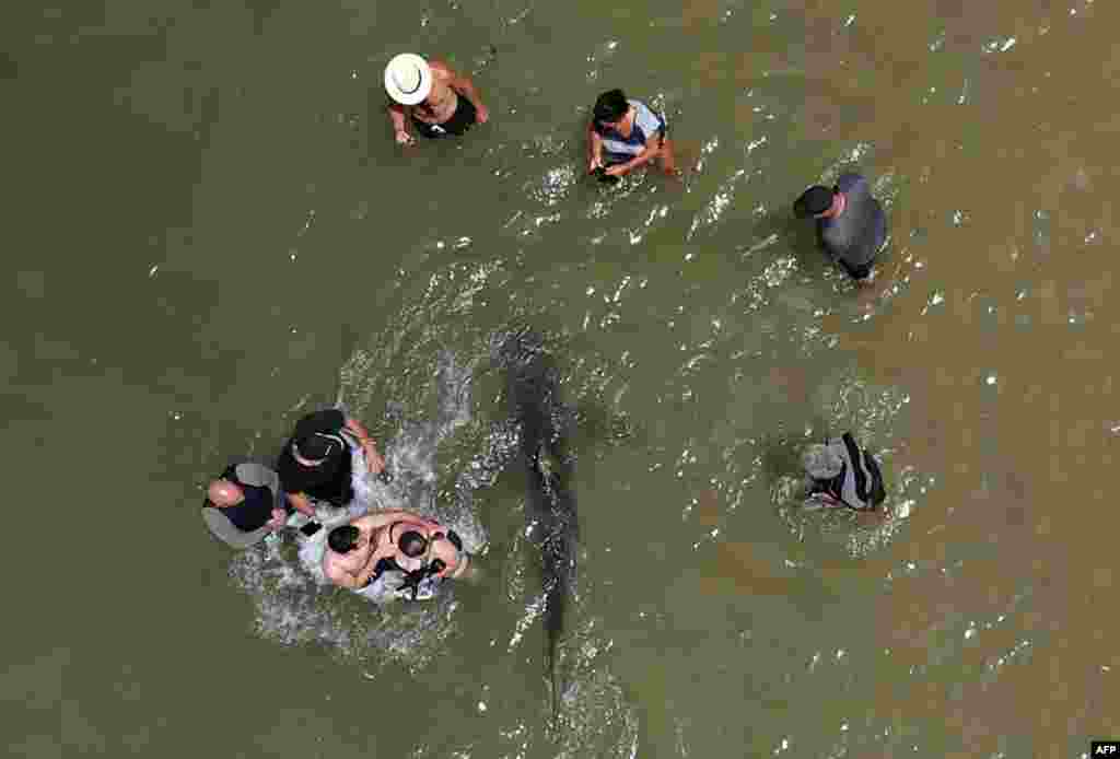 An aerial view shows people using their phones and cameras to film a shark swimming past in the shallow Mediterranean Sea water off the Israeli coastal town of Hadera north of Tel Aviv.