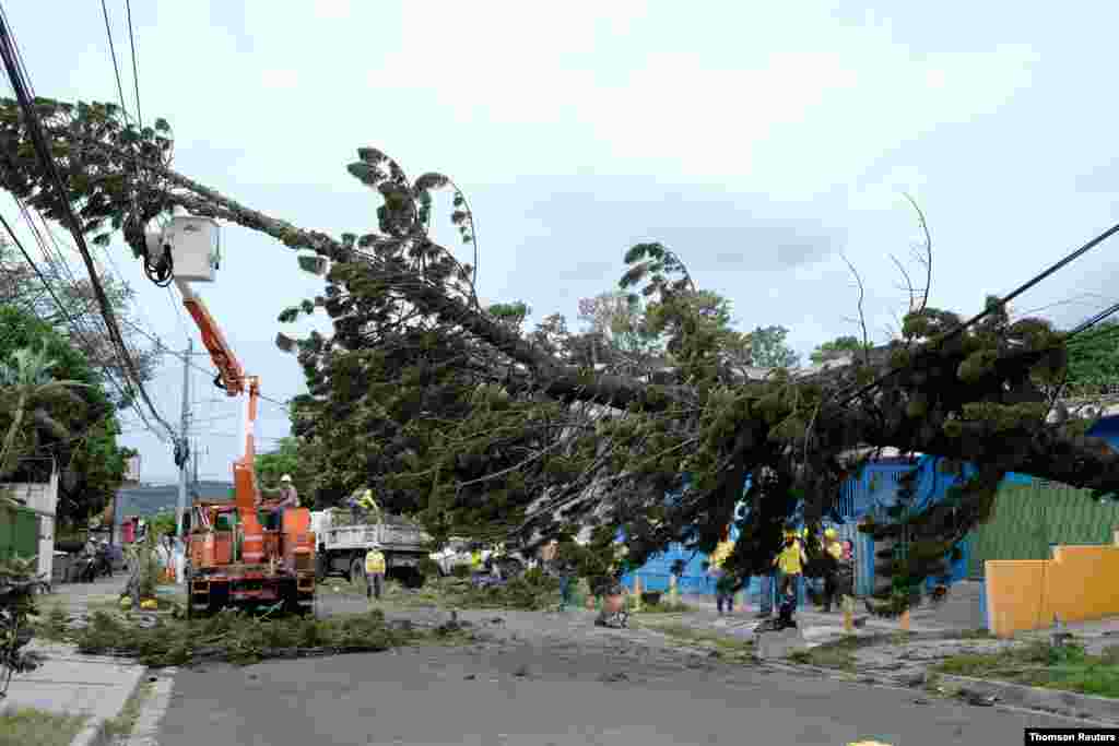 Trabajadores de l&#237;nea reparan una l&#237;nea el&#233;ctrica da&#241;ada por un &#225;rbol que cay&#243; de los fuertes vientos causados por la tormenta tropical Eta en San Salvador, El Salvador.