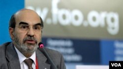 El brasileño José Graziano da Silva será el primer latinoamericano en ocupar la dirección general de la FAO.