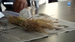 CHP’den Gıda Krizi Uyarısı