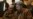 Pakistani Government, Taliban Hold Landmark Talks