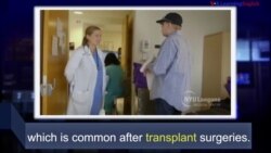 News Words: Transplant