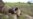 3 Million Zimbabweans Feeling El Nino Fallout