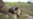 Study: African Crops Threatened by Climate Change