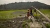 An Indian woman helps her farmer husband irrigate a paddy field using a traditional system, on the outskirts of Gauhati, India, Feb. 1, 2019.