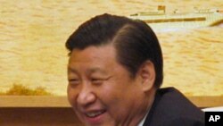 中国国家副主席习近平(资料照片)