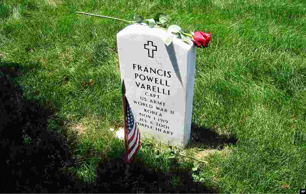 [메모리얼 데이] 이모저모