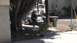 Obesidad en el mundo