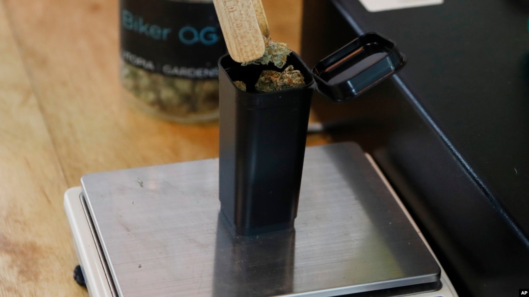 In this Tuesday, Oct. 2, 2018, photo, marijuana buds are weighed for a customer at Utopia Gardens, a medical marijuana dispensary, in Detroit. 