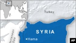 Rights Activists Say 25 Syrians Killed in Attacks