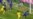 16x9 Image