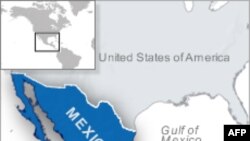 Gjenden kufomat e 55 njerëzve në një minierë argjendi të braktisur në Meksikë