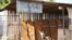 A worker at a coffin manufacturing company waits for clients in Harare, as Zimbabwe begins a 30-day lockdown in a bid to rein in the spike in COVID -19 infections threatening to overwhelm health services.